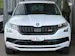 SKODA Kodiaq 2.0 Bi-TDI SCR RS 4x4 DSG