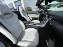 MERCEDES-BENZ SLK 250 CDI 7G-Tronic