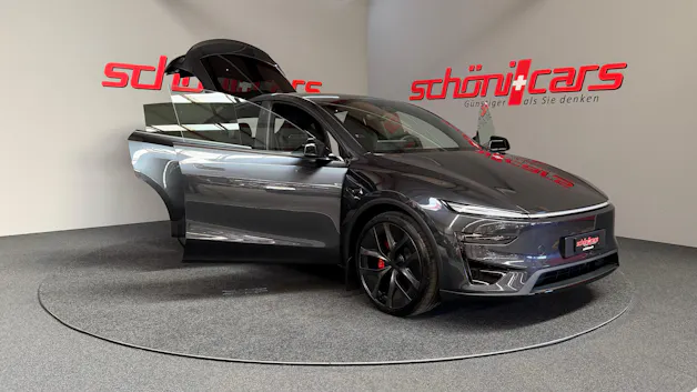 Tesla Model Y Performance AHK