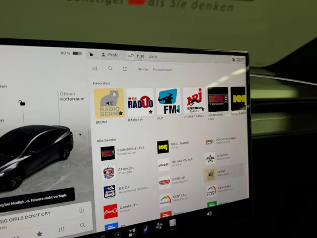 Tesla Model Y Performance AHK