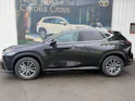 Lexus NX 450h+ Comfort