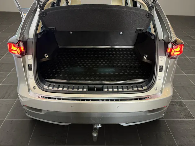 Lexus NX 300h Excellence