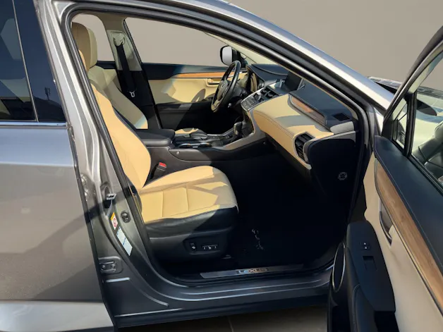 Lexus NX 300h Excellence
