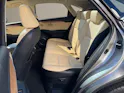 Lexus NX 300h Excellence