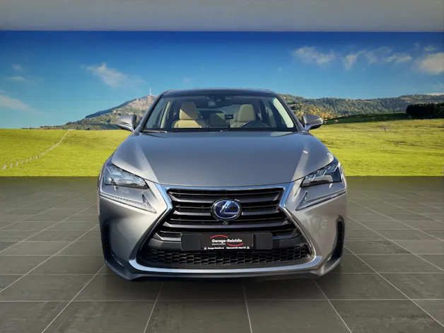 Lexus NX 300h Excellence