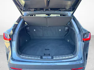 Lexus NX 450h+ F-Sport