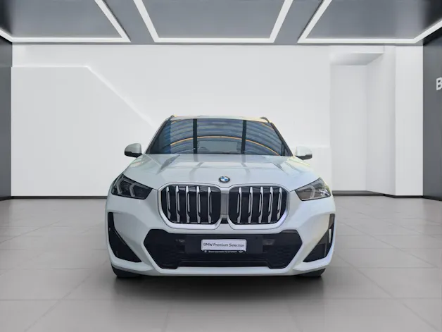 BMW X1 23d xDrive paddles