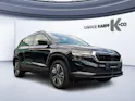SKODA Karoq 2.0 TDI CR Dynamic 4x4 DSG