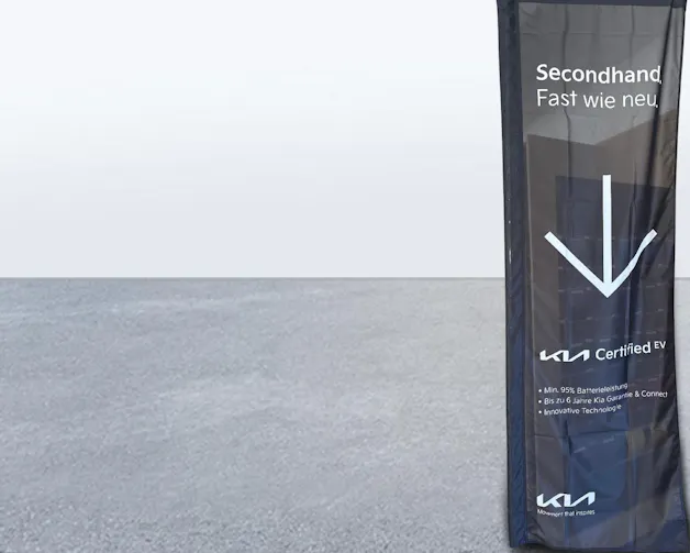 Kia EV3 81 kWh Earth