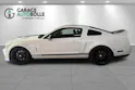 FORD GT500 *Carroll Shelby Ed.*