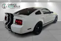 FORD GT500 *Carroll Shelby Ed.*