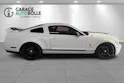 FORD GT500 *Carroll Shelby Ed.*
