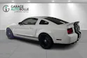 FORD GT500 *Carroll Shelby Ed.*