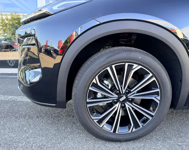 Geely STARRAY EM-i Max+ 29.8 kWh polar black