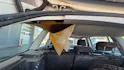 SKODA Octavia 1.9 TDI Swiss Adventure 4x4