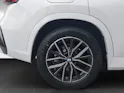BMW X1 U11 20d xDrive