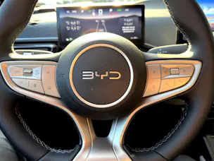 BYD Dolphin Surf Comfort