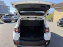 JEEP Renegade 1.4 170 MultiAir Freedom AWD