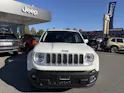 JEEP Renegade 1.4 170 MultiAir Freedom AWD
