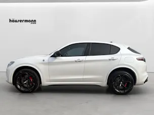 ALFA ROMEO Stelvio 2.9 V6 Biturbo Q4 Quadrifoglio