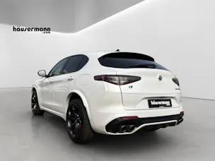 ALFA ROMEO Stelvio 2.9 V6 Biturbo Q4 Quadrifoglio
