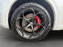ALFA ROMEO Stelvio 2.9 V6 Biturbo Q4 Quadrifoglio