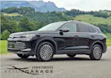 VW Tiguan 2.0 TSI DSG Elegance 4Motion *Panormadach+Anhängerkupplung*