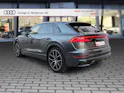 AUDI Q8 55 TFSI quattro tiptronic Daytonagrau Perleffekt