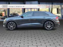 AUDI Q8 55 TFSI quattro tiptronic Daytonagrau Perleffekt