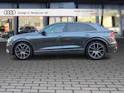 AUDI Q8 55 TFSI quattro tiptronic Daytonagrau Perleffekt