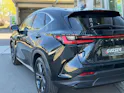 Lexus NX 350h E-FOUR Premium+