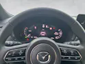 MAZDA CX-60 3.3 D Homura Plus