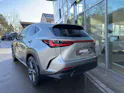 Lexus NX 350h E-FOUR Premium+
