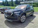 SKODA Kodiaq 2.0 TDI CR Ambition 4x4 DSG