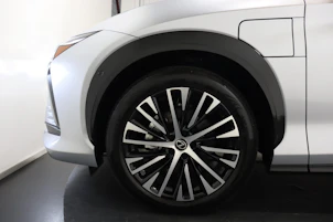 Fahrzeugbild LEXUS RZ 450e Excellence