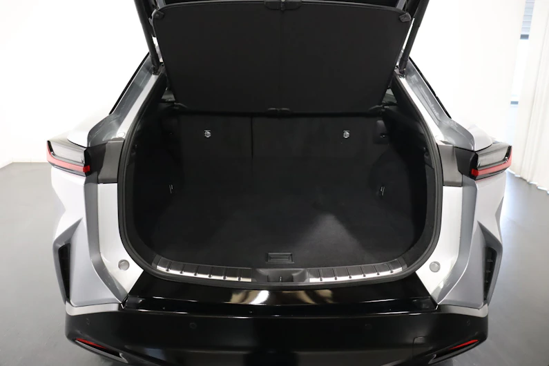 Fahrzeugbild LEXUS RZ