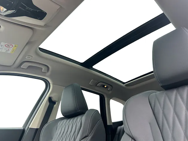 BMW X1 xDrive30e