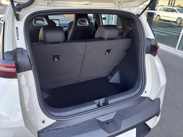 BYD Dolphin Surf Comfort