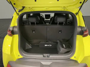 BYD Dolphin Surf Boost