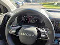 SKODA Karoq 2.0 TDI CR Selection 4x4 DSG *Anhängerkupplung+Garantie*