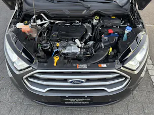 FORD EcoSport 1.5 TDCi Business 4x4