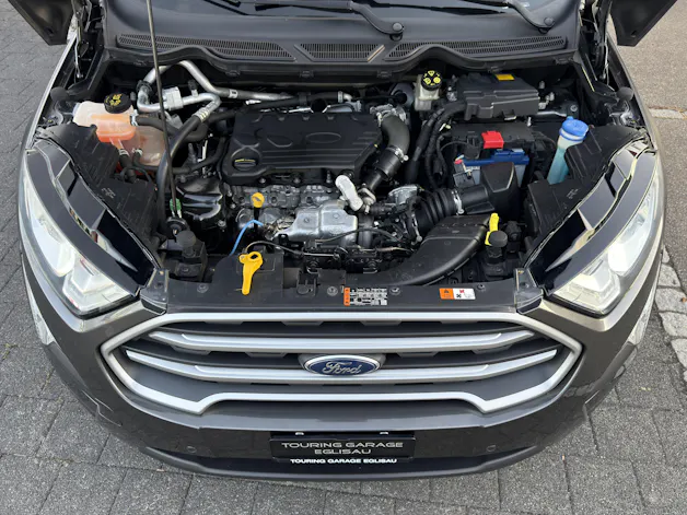 FORD EcoSport 1.5 TDCi Business 4x4