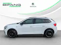 SKODA Kamiq 1.5 TSI ACT Monte Carlo DSG