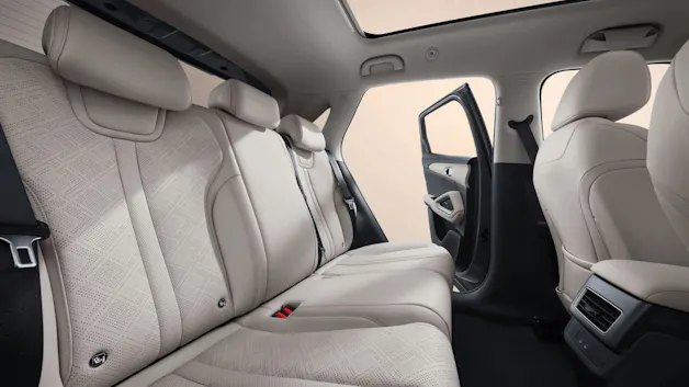 BYD Atto 2 Comfort