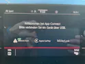 VW Polo GTI 2.0 TSI DSG *** PANORAMAGLASDACH & NAVI DISCOVER PRO ***