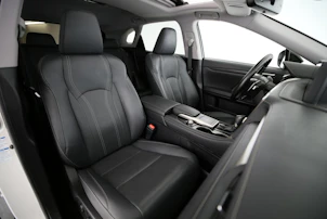Fahrzeugbild LEXUS RX 300 Special Edition