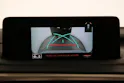 Lexus RX 300 Special Edition
