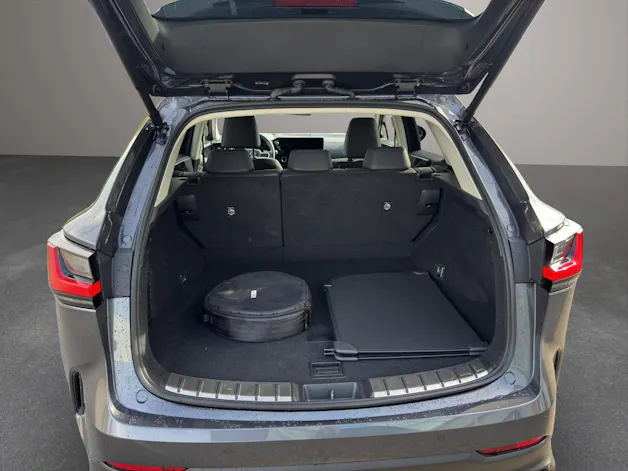Lexus NX 450h+ Excellence