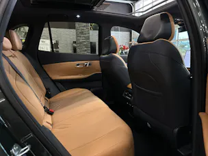 Geely Starray EM-i MAX + PHEV