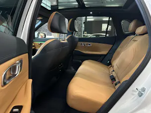 Geely Starray EM-i MAX + PHEV